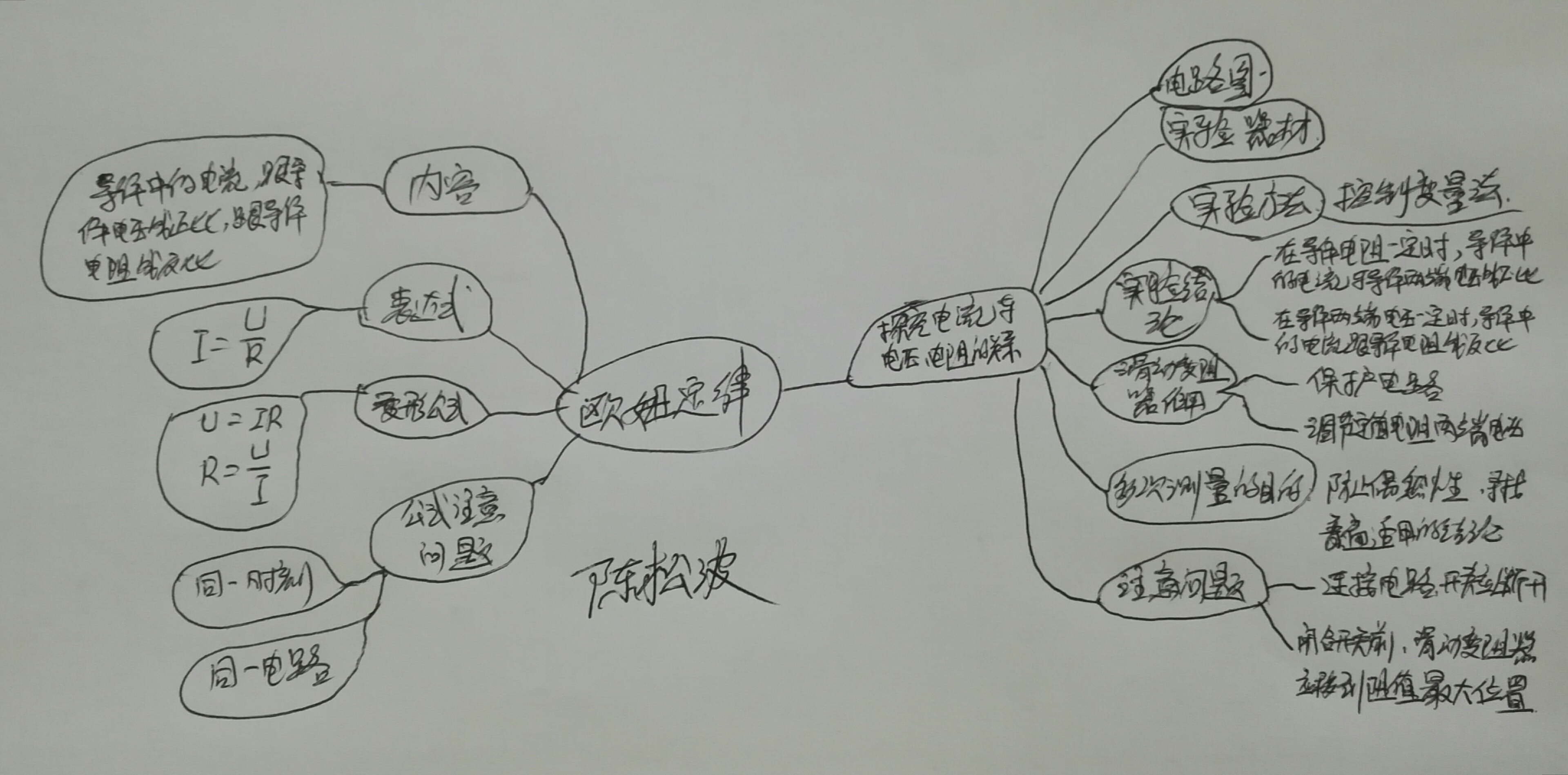 活動5:使用思維導圖進行知識整理