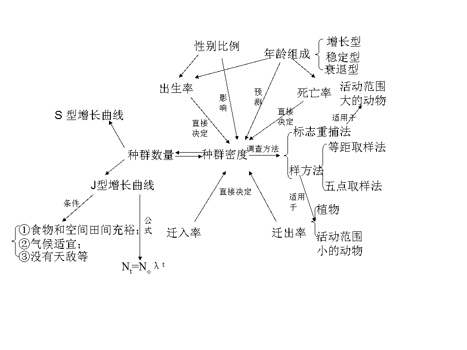 種群的特徵和數量變化知識概念圖