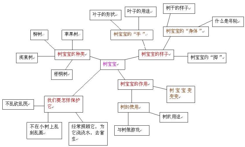 幼儿园树木主题网络图图片