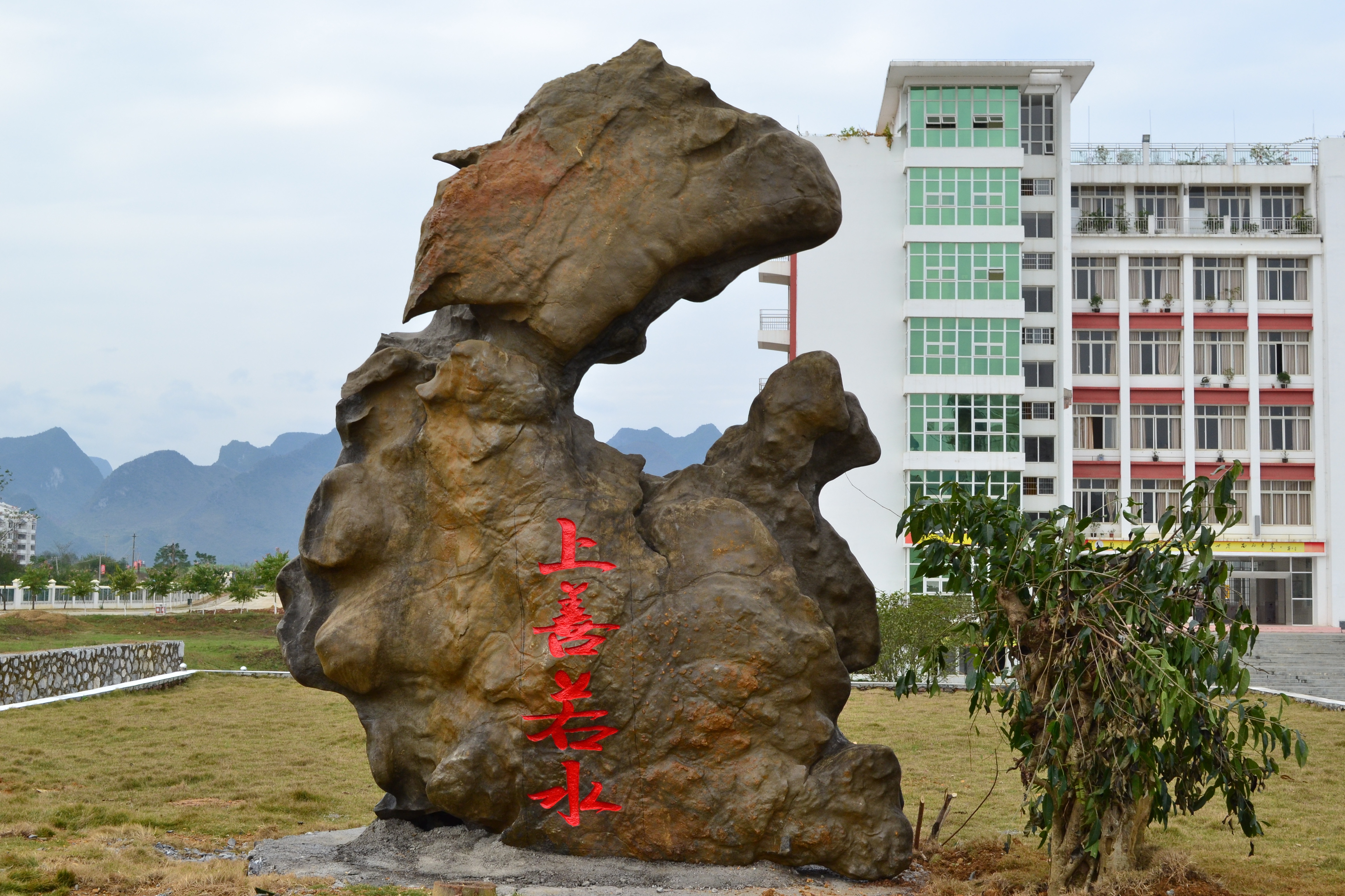 忻城实验中学图片